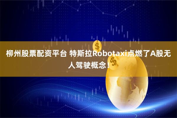 柳州股票配资平台 特斯拉Robotaxi点燃了A股无人驾驶概念！