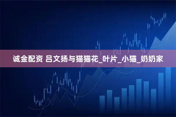 诚金配资 吕文扬与猫猫花_叶片_小猫_奶奶家