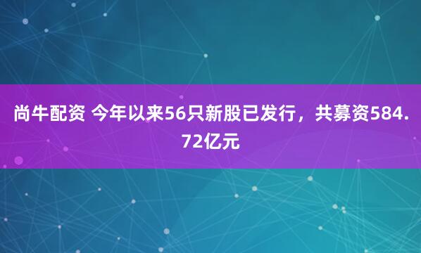 尚牛配资 今年以来56只新股已发行，共募资584.72亿元