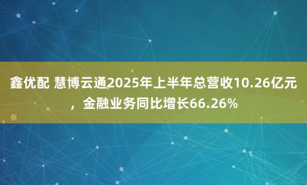 鑫优配 慧博云通2025年上半年总营收10.26亿元,金融业务同比增长66.26%